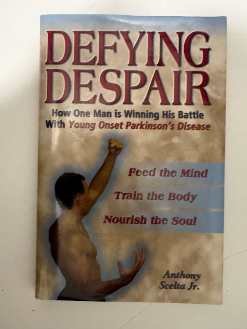 Defying Despair Paperback Book - Beige, Blue & Red Cover